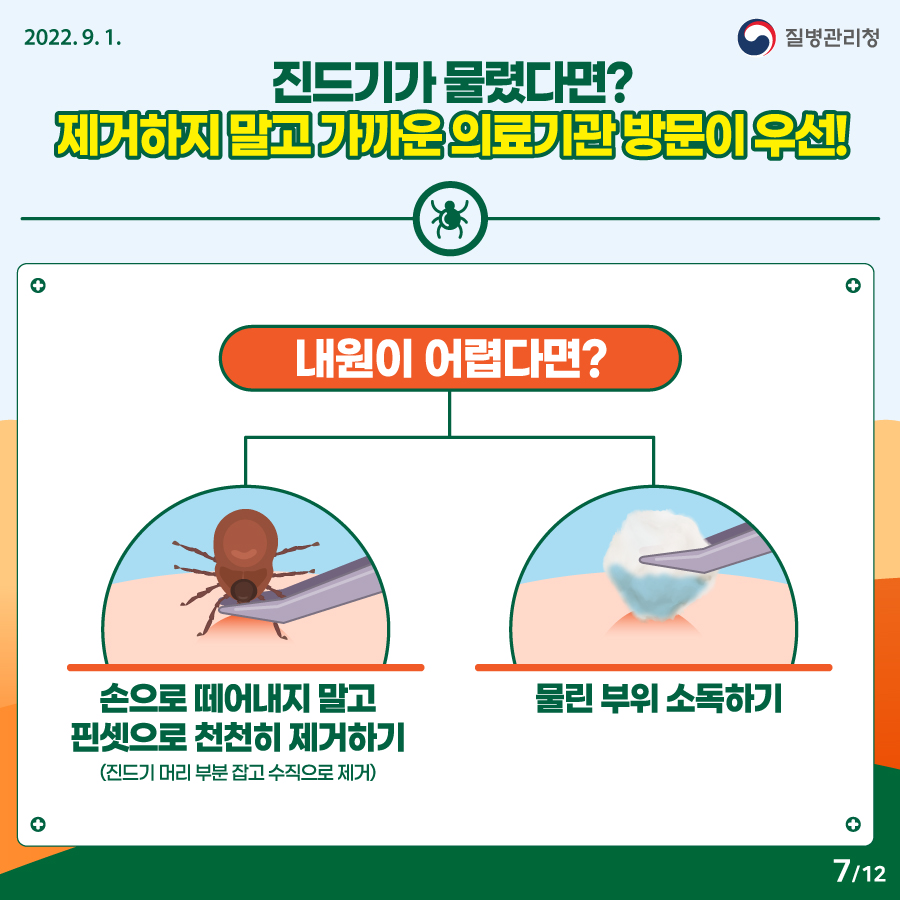 2202년 9월 1일. 질병관리청. 진드기가 물렸다면? 제거하지 말고 가까운 의료기관 방문이 우선! 내원이 어렵다면? - 손으로 떼어내지 말고 핀셋으로 천천히 제거하기(진드기 머리 부분 잡고 수직으로 제거) - 물린 부위 소독하기. 12페이지 중 7페이지